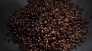 Nexus Coffee - Classic Instant Coffee Sticks