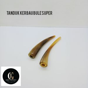 Once cangklong tanduk kerbau bule asli INZ 03
