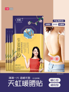 Heating Waist Patch Self-Heating Ginger Warm Body Patch Therapy Warm Palace Anti-Cold Back Neck Hot Compress Patch