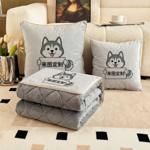 Custom Two-in-One Blanket Plush Warm