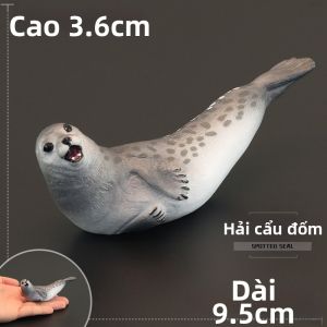 MENGSILE | Mô Hình Động Vật Biển Giáo Dục Chất Rắn