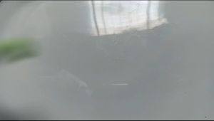 Mote Manik Manik Karakter Love: Dekorasi & Kerajinan