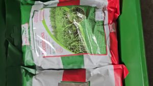 HẠT GIỐNG CỎ SẢ GHINE MOBASA CHO GIA SÚC ( GÓI 500G )