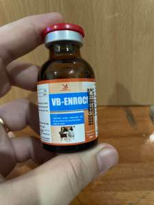1 chai Enroci 20ml dùng cho hen suyễn viêm phổi viêm tử cưng sốt bỏ ăn thú y