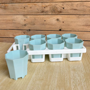 Thickened Octagonal Plastic Flower Pots for Seedling Cultivation And Leaf Cutting with Tray Modern Simplicity Style Home Decor