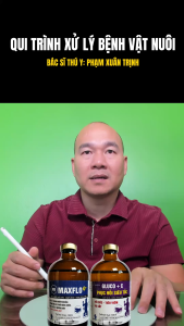 THUỐC TRỊ HEO HO BỎ ĂN (MAXFLO +GLUCO C)