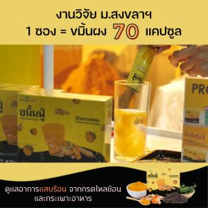 Naturalcode ขมิ้นฟู่ Curcumin ลด กรดไหลย้อน แสบร้อนกลางอก รักษาแผลในกระเปายังบรรจุ 10 ซอง