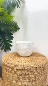 (Nhiều Mẫu) Size Nhỏ - Chậu Để Bàn Trồng Hoa Nhựa Dày Đẹp Màu Trắng