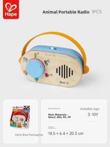 Hape | Childrens Educational Music Player Toy