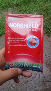 NORSHEILD 86.2WG thuốc trừ bệnh hiệu quả chống nấm hồng địa y rỉ sắt thán thư hiệu lực kéo dài