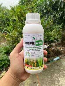 BIM SUPER 650 SC SẠCH ĐẠO ÔNCHÁY LÁ VÀNG LÁ TRÊN LÚA GIÚP ĐỨNG LÁ XANH LÁ CHAI 480ML