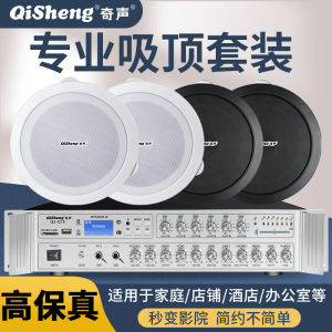 Qisheng Black Ceiling Speaker Ceiling Sound Box Restaurant Wine Shop Supermarket Embedded Broadcasting System Power Amplifier