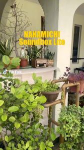 Nakamichi Soundbox Lite Bluetooth Speaker With Radio FM