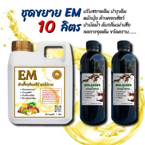 ชุดขยาย EM 10 ลิตร บำรุงพืช หมักปุ๋ย ดับกลิ่นท่อ ย่อยสลาย ท่อตัน ส้วมตัน บำบัดน้ำเน่า