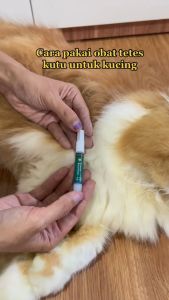 Clever Solutions - TETES KUTU (Obat Kutu Tetes untuk Kucing Pembasmi Penghilang Kutu Anti Parasit Detick Revolution Terbukti Ampuh Furyou)