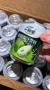 [Yi Zhi Bi] Laiyang Pear Juice Beverage 245ml x 20 Cans Singapore