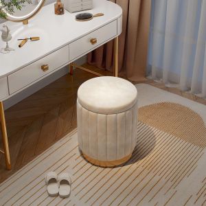 Luxury Storage Makeup Stool