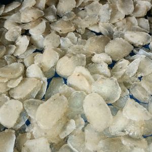 kerupuk nasi/ kerupuk puli/kerupuk gendar/kerupuk karak mentah - 1 kg