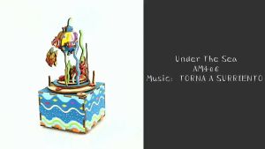 Mô hình Hộp nhạc Dưới đáy biển - Under the Sea AM406 Music Box Robotime
