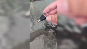 Glink Jack DC หัวแจ็คดีซี ตัวผู้ แบบกด  ตัวผู้แบบกด สำหรับกล้องวงจรปิด X 100 DC Power แจ๊คเสียบขั้วต่อ รับสมัครดีลเลอร์ทั่วประเทศ