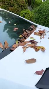 Anti-falling Leaves Car Trunk Sealing Strip Universal Trunk Lid Gap Seal Rubber Strip Dust-proof Accessori For Sedan
