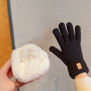 Warm Windproof Cold Weather Knitted Gloves
