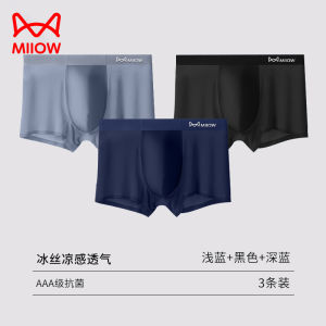 Ice Silk Seamless Antibacterial Boxer Shorts Mens Summer Flat Angle Briefs Comfortable Underwear Youth mid Waist Nylon Fabric