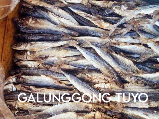 Dried Fishgalunggong Tuyo 1 Kg Lazada Ph