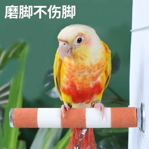 Parrot Grinding Station Rod Beak Grinding Tooth Grinding Specialized Products for Peafowl Cage Stand Rod Stand Bracket