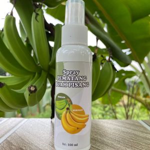 PEMATANG PISANG | MATENG Dalam 2 Hari | PISANG Mateng Secara INSTANT | 100ML | 250ML | 500ML | 1 LITER