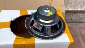 loa bass 20 BOS.SE mexico coil 6 lớp âm bass cực ấm karaoke - nghe nhạc cực hay ( 1 củ )