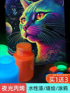 Long-Lasting Fluorescent Night Glow Acrylic Paint for Wall Graffiti Art Painting Waterproof Luminous Coating Liquid