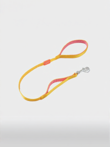 howgo | Competitive Training Dual-Handle Shock Absorbing Dog Leash