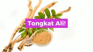 GN Tongkat Ali Extract 480mg (60s) Premium Authentic Supplement | Energy Vitality & Men’s Health
