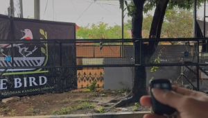 ALAT BANTU PENGUSIR BURUNG DI DALAM SANGKAR KANDANG UMBARAN MENGGUNAKAN SISTEM REMOT