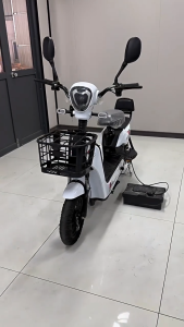 AENXRD Electric bicycle adult electric bicycle 4 batteries 48V-12A with rearview mirror charging