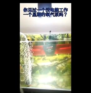 JINGYE Super Silent Oxygen Waterproof AC/DC Air Pump For Fish tank YE-1000S/YE-2000L(READY STOCK)