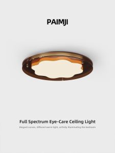 PAIMIJI | New Retro Creative Cloud Ceiling Light