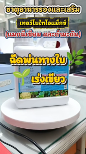 เทอร์โบไทโอแม็ก ปุ๋ย ปุ๋ยน้ำ ทางใบ และดิน เพิ่มเขียว สังเคราะห์โปรตีน สร้างปม รากถั่ว ปุ๋ยกิฟฟารีน ขนาด 1 ลิตร