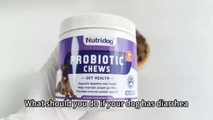 เม็ดเคี้ยวโปรไบโอติกสำหรับสุนัข ช่วยระบบย่อยอาหาร ขนมสุนัข ย่อยง่าย รสเป็ด300 กรัม