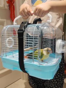 Tiger Skin Peony Xuanfeng Jintai and Yang Shangkai Bird Gram Parrot Light and Portable out of Transport Satchel Cage Suitcase