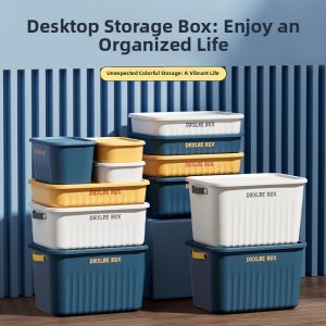 Large Capacity Storage Box With Lid