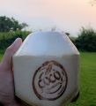 Kelapa Muda FRESSH (Diamond Original). 