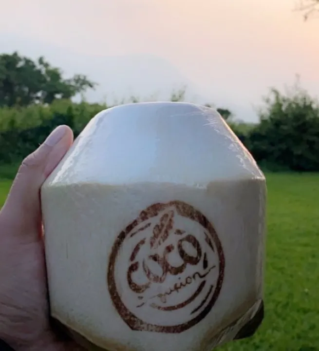 Kelapa%20Muda%20FRESSH%20(Diamond%20Original)%20-%20Image%206