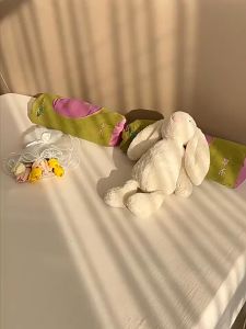 【现货】Herbal Cassia Mugwort Neck Pillow 决明子艾草草本养生护颈枕头 颈椎枕助睡眠反弓牵引枕