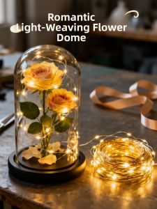 BEAUTY IN THE LIGHT | DIY Gift and Ambiance Decoration LED Light String