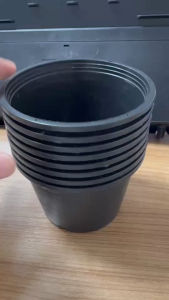 ถ้วยปลูก 5 นิ้ว กระถางปลูกสีดำขนาด 5 นิ้ว (**50ใบ**)