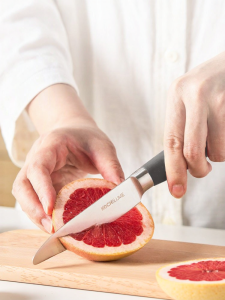 kochblume | Sharp Portable Fruit Knife Stainless Steel