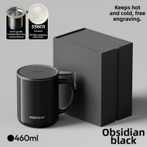 Vanow | Thermal Tea-infused Cup Ceramic Liner