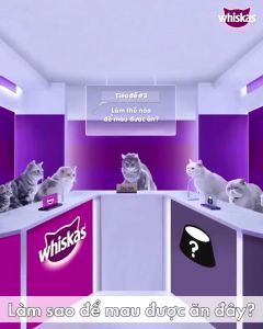 ComBo 24 Gói Pate Dành Cho Mèo Whiskas - 1 Hộp Pate Gói Dành Cho Thú Cưng Vị Ngẫu Nhiên